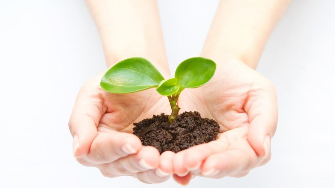 Developing Products That Reduce Environmental Impact