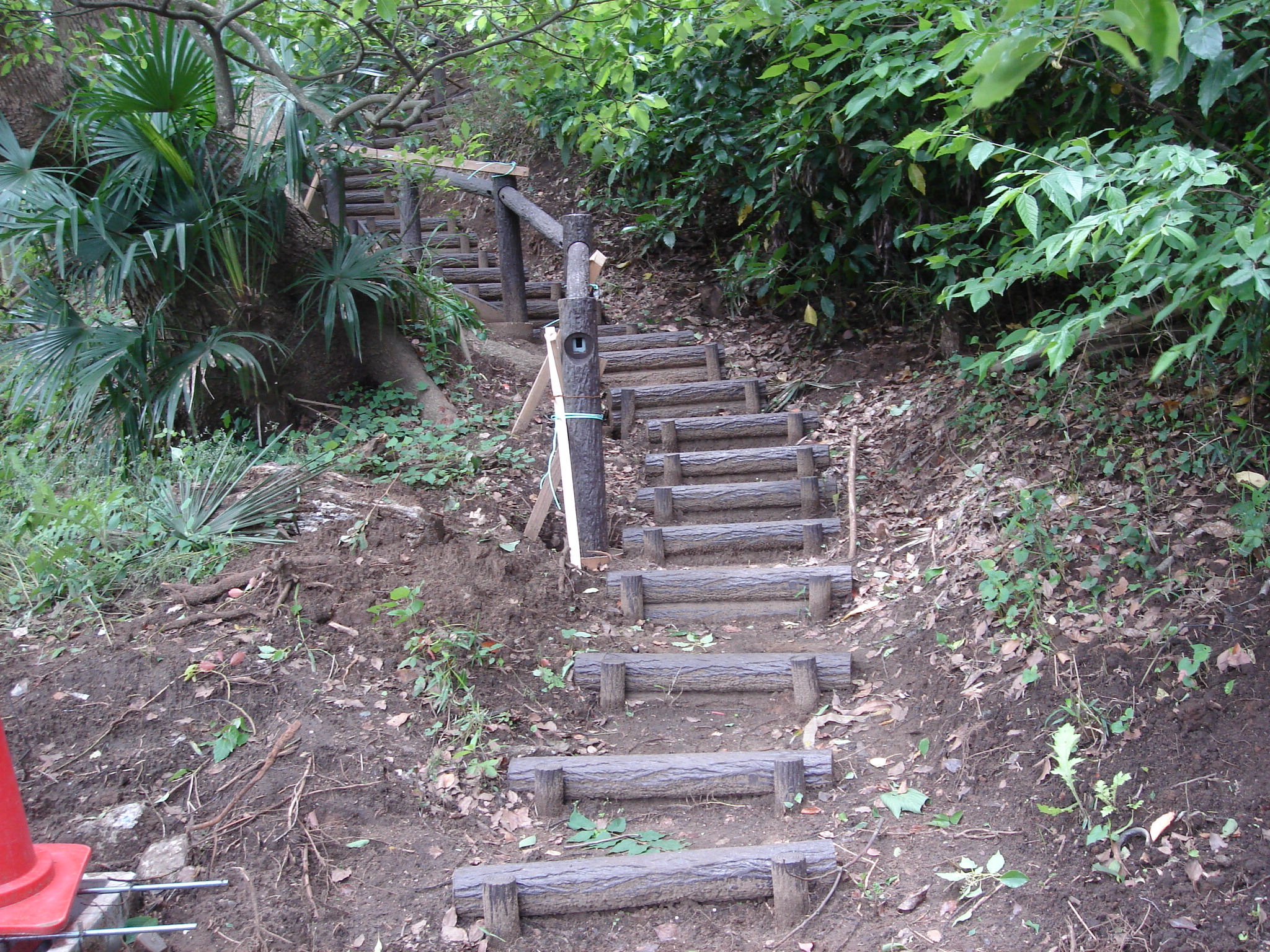 PWD2075 二連木階段 200×750｜製品詳細｜リスのプラスチックグループ