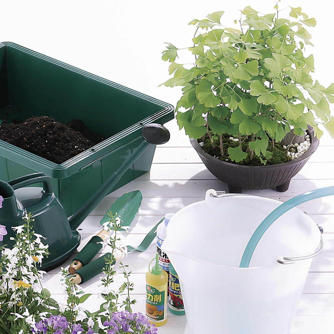 (20点) ペール アクティブバケツ 8L LGN リス 00403667 アクティブバケツ おしゃれ 8L ばけつ シンプル 可愛い 割れ