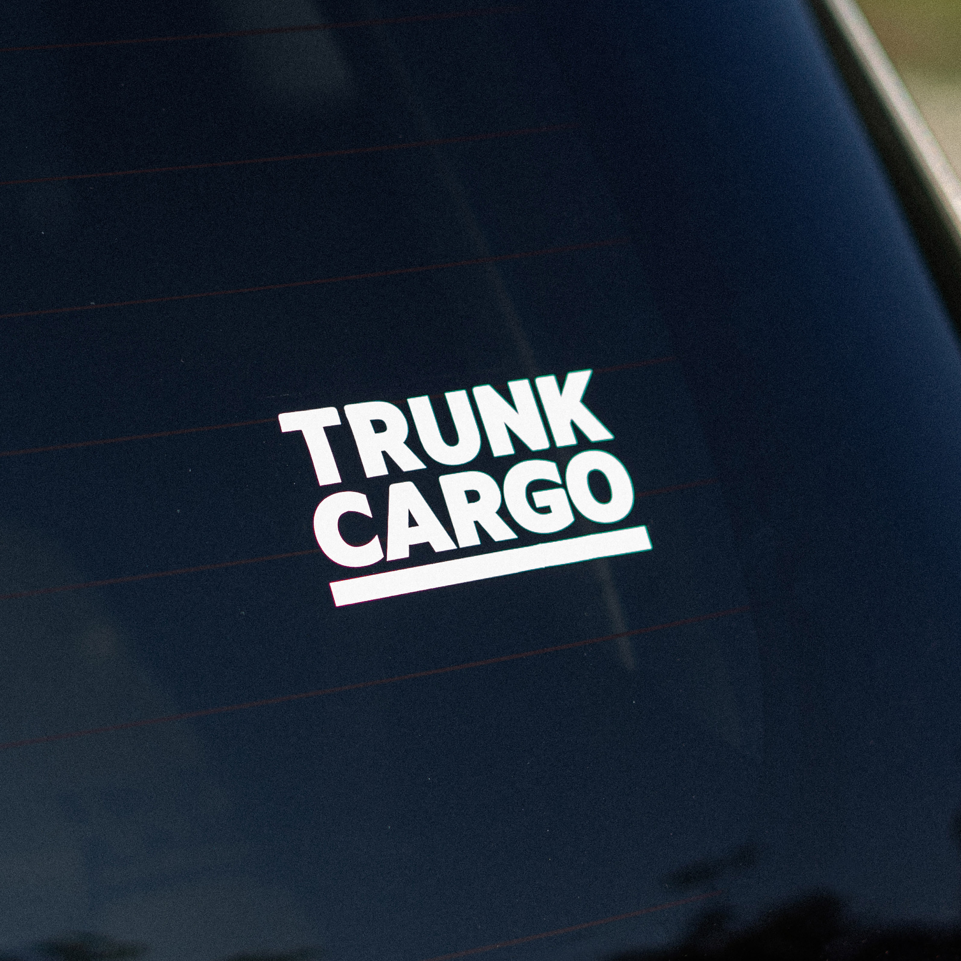 トランクカーゴ カッティングステッカー M｜製品詳細｜リスの 